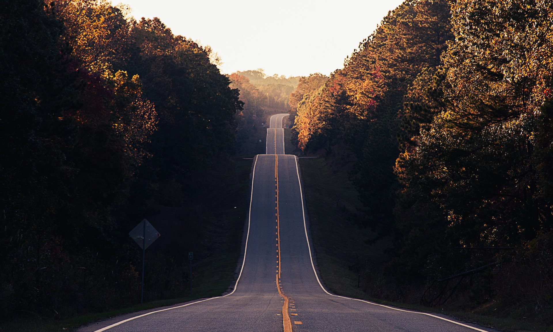 route entourée d'arbres